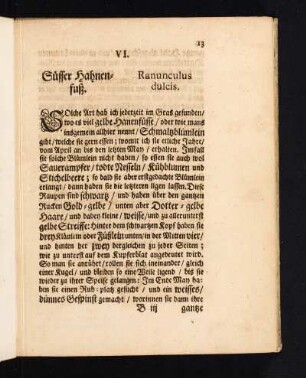 VI. Süsser Hahnenfuß. Ranunculus dulcis.