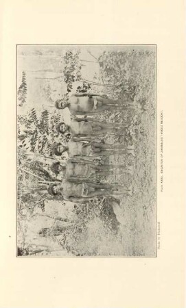 Plate XXXI. Negritos of Zambales (Mixed bloods)