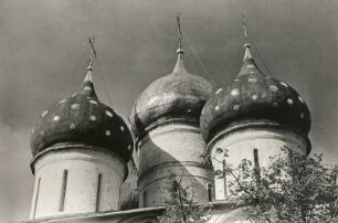Sagorsk. Dreifaltigkeitskloster des Heiligen Sergius (16./17. Jh.). Kuppeln der Himmelfahrtskathedrale