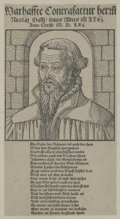 Bildnis des Nicolaj Gallj