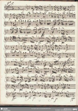 No. 5 Aria: Voi non sapete quanto