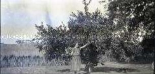 Junge Frau neben einem Obstbaum
