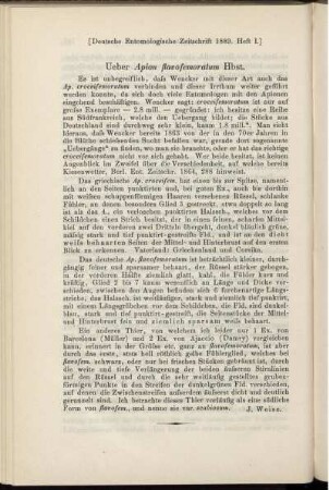Ueber Apion flavofemoratum Hbst.