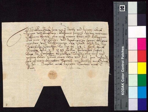 Adam Berka von Duba auf Böhmisch Leipa (Leippe) und Bürgstein (Birckstein) bestätigt Bürgermeister und Rat der Stadt Bautzen den Empfang der königlichen Jahrrente, die zu Georgi 1598 zu entrichten war.