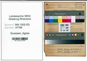 Entnazifizierung Agnes Gruessen, geb. 19.06.1896 (Lehrerin)