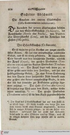 Sechster Abschnitt: Die Knochen der untern Gliedmaßen (Ossa Extremiatum inferiorum)