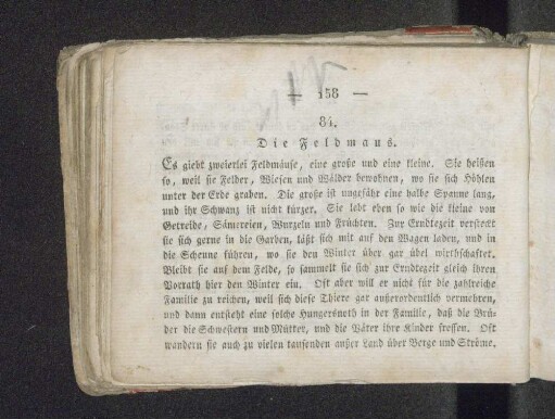 84. Die Feldmaus.