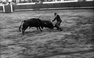 Barcelona [Spanien]: Stierkampf, Reizen