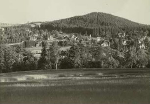 Bärenfels (Altenberg-Bärenfels). Ortsteilansicht mit Spitzberg (750 m) von Norden