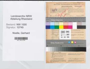 Entnazifizierung Gerhard Noelle, geb. 10.03.1889 (Referent)