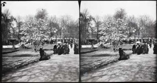Paris. Jardin des Champs-Élysées