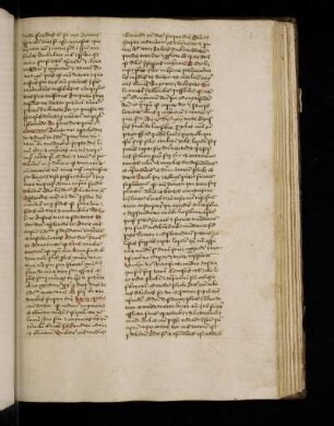 inde floridus etc. sic ayt: Dominum spiritualem animam se esse agnoscat
