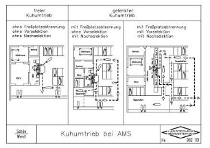 Kuhumtrieb bei AMS
