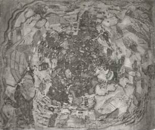 Moritzburg und der Friedewald mit seiner Umgebung "Abriß des Gehölzes um Moritzburg ..." : Moritzburg und der Friedewald mit seiner Umgebung "Abriß des Gehölzes um Moritzburg ...". Wasserfarbengemälde; 116 x 136 cm (um 1560/1570). Dresden: Hauptstaatsarchiv Dresden VI, 82, 9 in XX