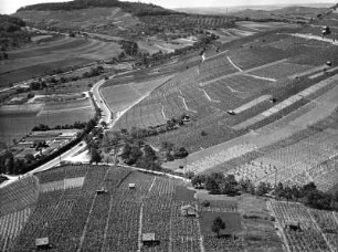 Weinsberg. Weinberge unterhalb der Burgruine Weibertreu