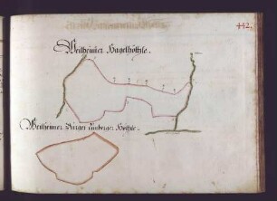 Weilheimer Hut: Weilheimer Hagelhölzle; Weilheimer Burger Limbergerhölzle