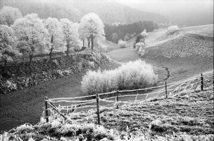 Kappel: Tal im Raureif mit Straße bei Kappel