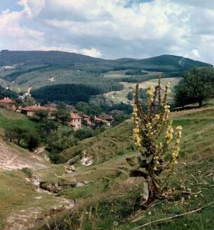 Aussicht ins Tal der Sredna Gora Gebirge