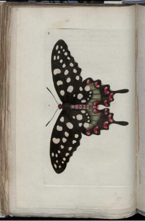 [Abb. 197]