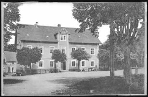 Moritzburg. Auer