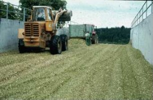 Fotografie: Ein- und Auslagerungstechnik, Flachsilo, Radlader, Maissilage