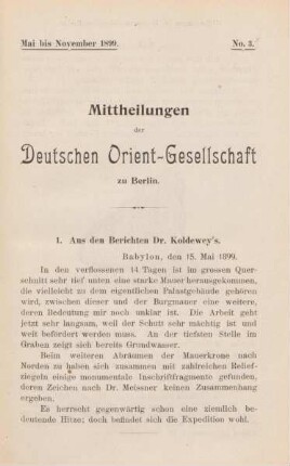 1. Aus den Berichten Dr. Koldewey's