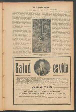 El cangrejo ladrón