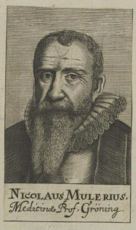 Bildnis des Nicolaus Mulerius