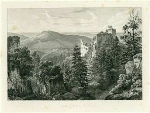 Vieux Château de Bade