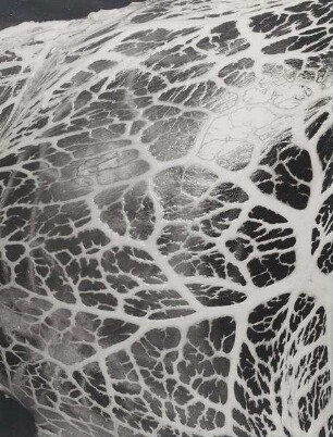"Branches dans la neige", aus der Schlachthof-Serie