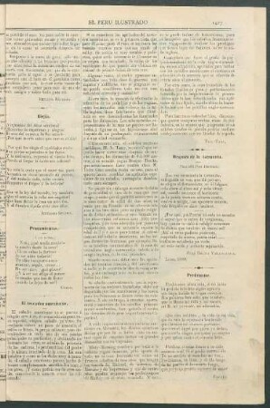 El trotador americano.