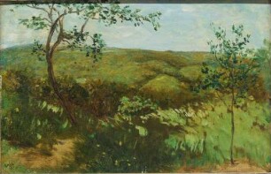Wiesenlandschaft