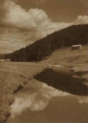 Spiegelung