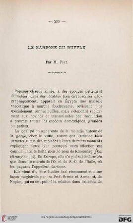 2.Ser. 10.1889: Le barbone du buffle