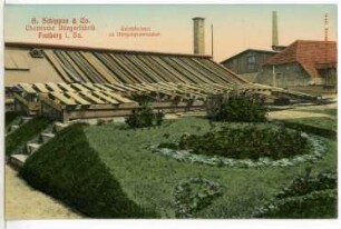 Freiberg. Düngerfabrik Schippan, Gewächshaus