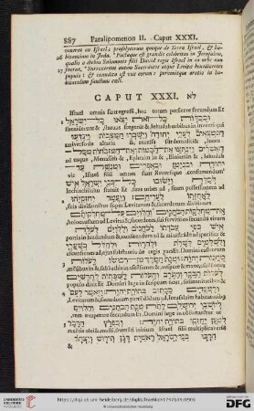 (Caput XXXI - XXXVI)