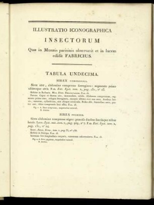 Illustratio Inconographica Insectorum