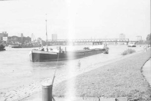 Mannheim: Schlepper am Rheinkai