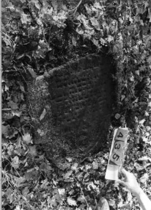 Grabstein 435