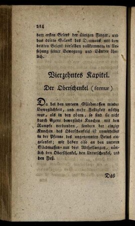 Vierzehntes Kapitel. Der Oberschenkel (femur).