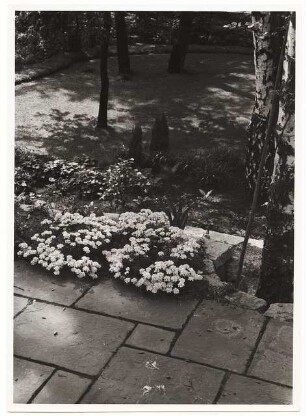 Garten Seydel, Berlin-Wannsee: Plattenweg im Garten