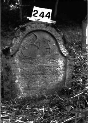 Grabstein 244