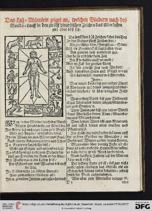 Das Laß=Maennlein zeiget an, welchen Gliedern nach des Monds=Lauff in den zwoelff himmlischen Zeichen das Aderlassen gut oder boeß sey