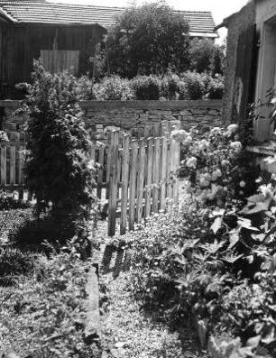 Gartentor : Garten mit Rosen und Stauden, Blick zum Gartentor