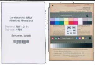 Entnazifizierung Jakob Schueller , geb. 01.05.1901 (Schuhmacher)