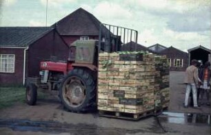 Fotografie: Gartenbau, Transport, Gabelstapler, Heckanbau