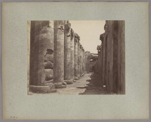 Abydos: Temple de Sethi I., Colonnes de la deuxième salle, No. 158bis