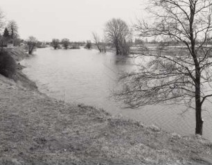 Deich, Mühlberg (Elbe)