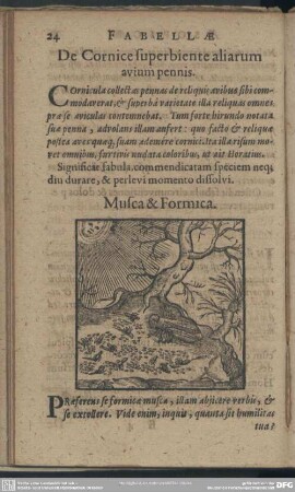 Musea & Formica