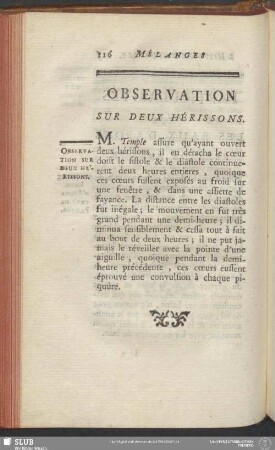 Observation Sur Deux Hérissons